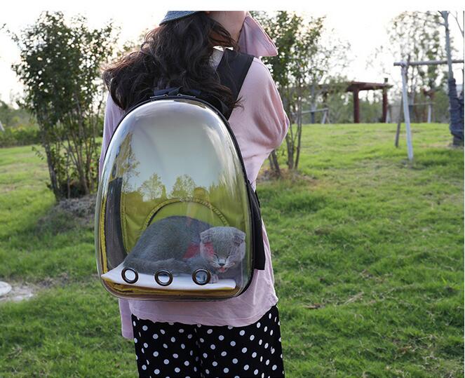 Clear View Pet Backpack for Travel and Everyday Comfort