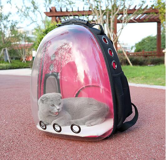 Clear View Pet Backpack for Travel and Everyday Comfort