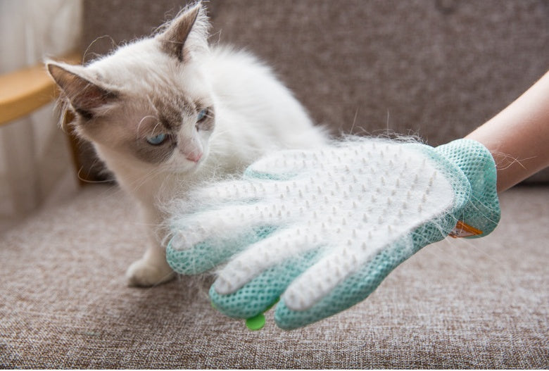 Gentle Pet Hair Removal Glove for Easy Grooming