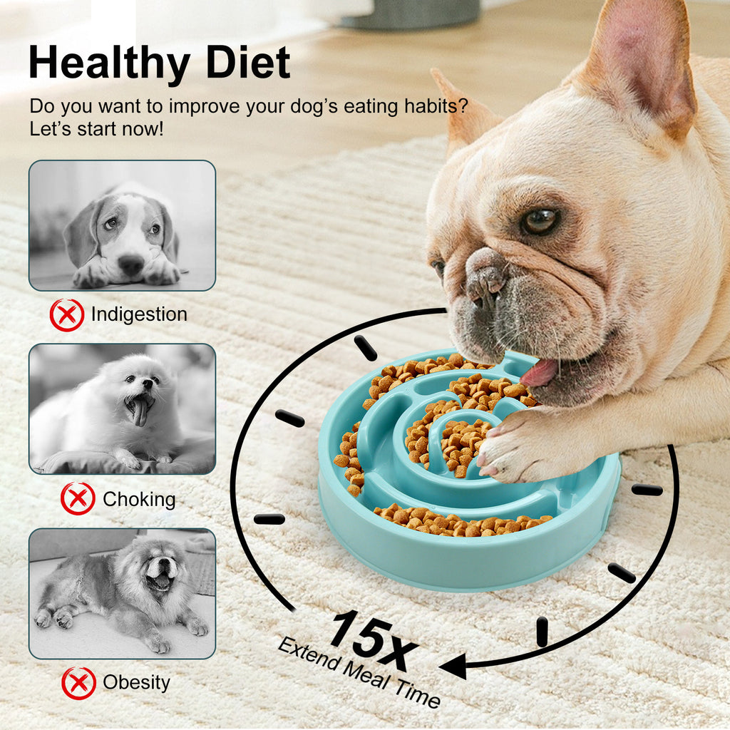 Slow Feeder Bowl for Healthy Happy Eating