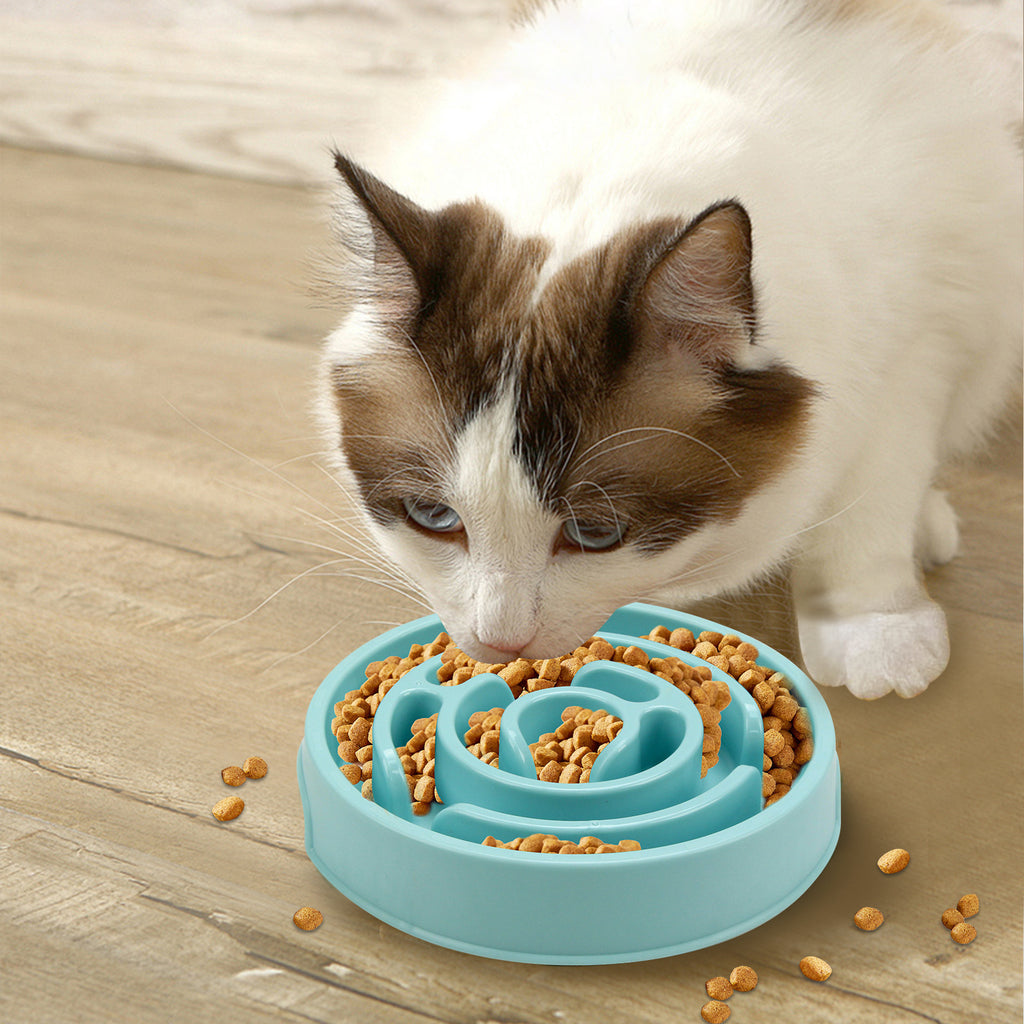 Slow Feeder Bowl for Healthy Happy Eating